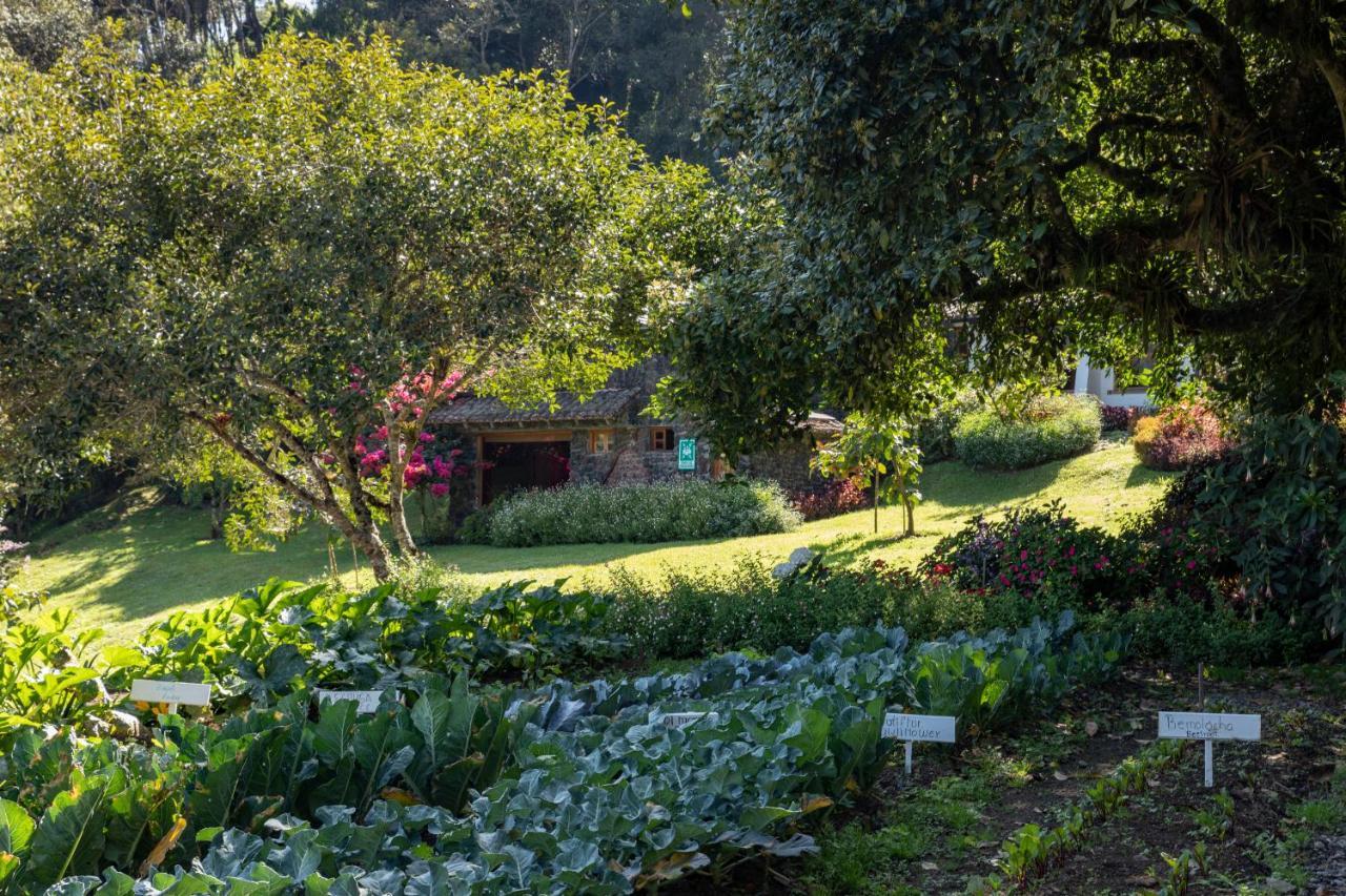 Hotel Luna Volcán, Adventure 5*